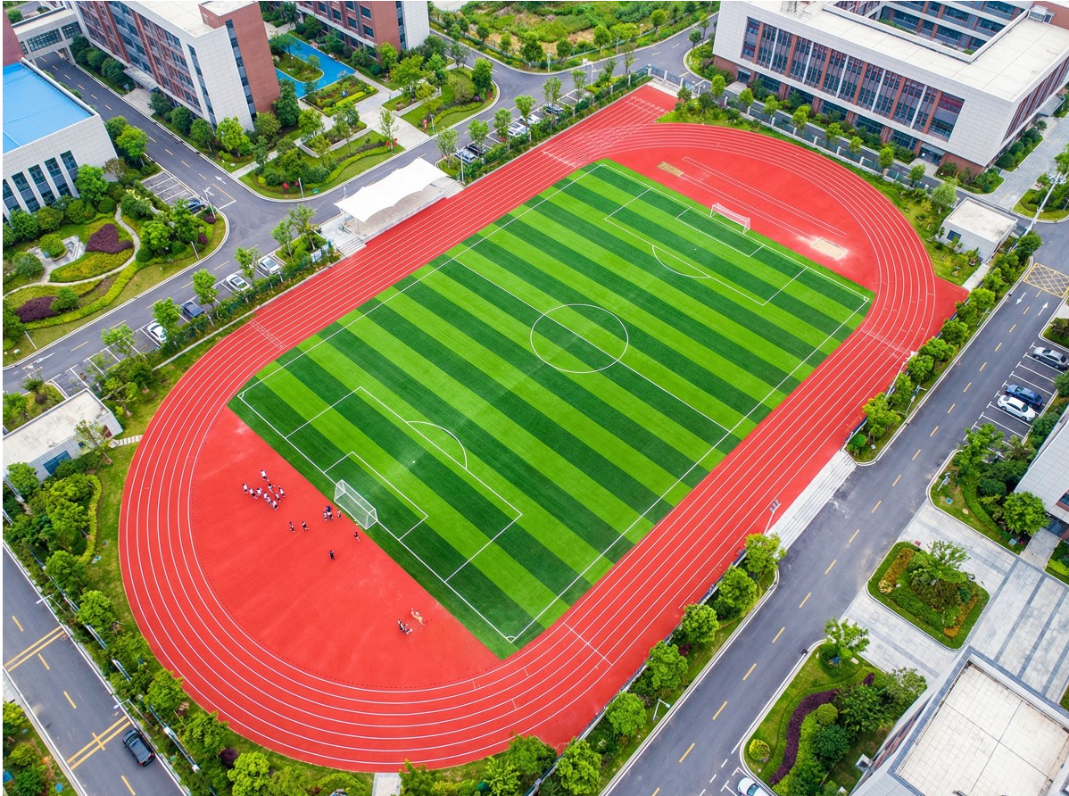 盘锦市全塑型塑胶跑道学校塑胶跑道 - 方案